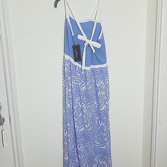 🆕️ Lauren James Maxi Dress - Picture 8 of 8